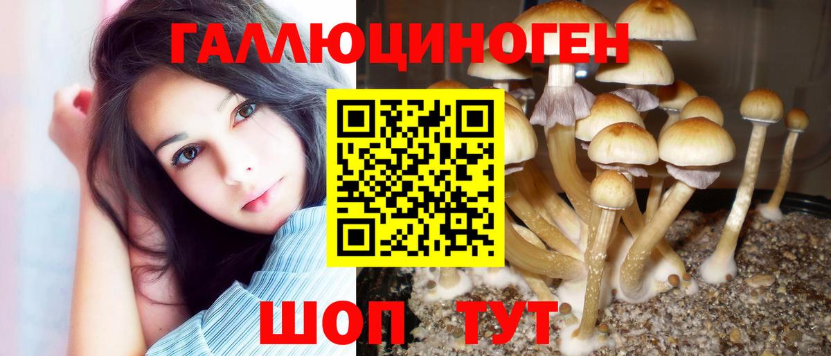 Саратов  Галлюциногенные грибы MAGIC MUSHROOMS  продажа наркотиков  Вход с VPN 